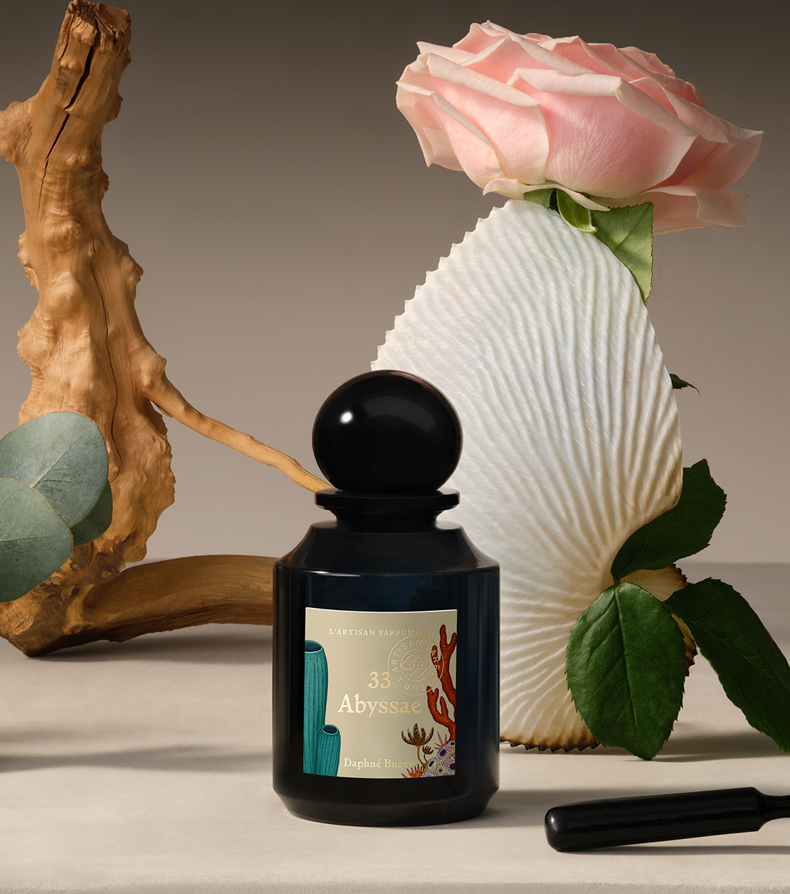 CAROUSEL_02_1110X1256 (5).png